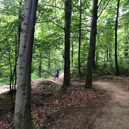 Zgredek Hébergement de vacances Żywiec