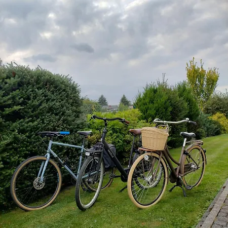 بيت للعطل Zgredek