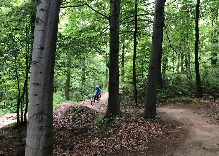 Zgredek בית נופש Żywiec